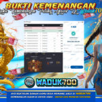 BUKTI JACKPOT SLOT WILD BOUNTY SHOWDOWN DI INDONESIA TGL 14-08-2026