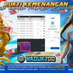 BUKTI JACKPOT SLOT STARLIGHT PRINCESS SUPER SCATTER DI INDONESIA TGL 11-08-2026